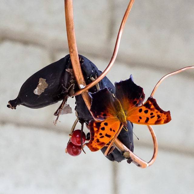 🦋Butterfly Banana Hammock-Butterfly Feeder