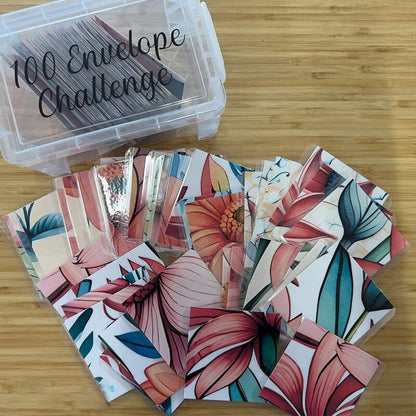 100 Envelope Challenge Box Set