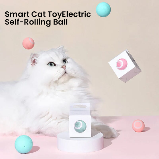 2 in 1 Simulated Interactive Hunting Cat Toy