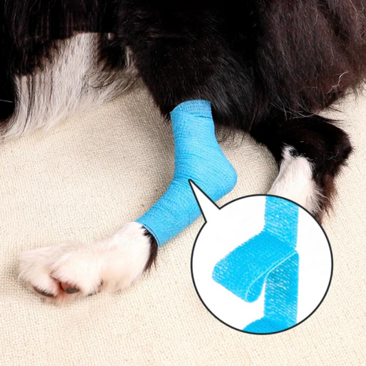 Blendixy Bandage Wrap Elastic Pet Tape