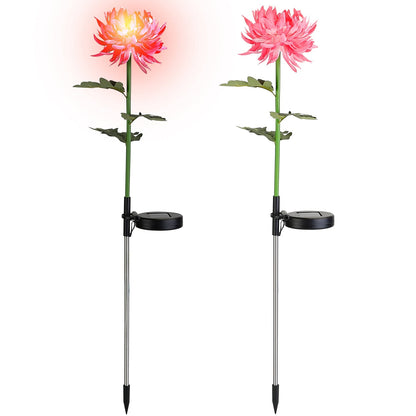 2-Pack: Solar LED Chrysanthemum Lights