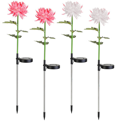 2-Pack: Solar LED Chrysanthemum Lights