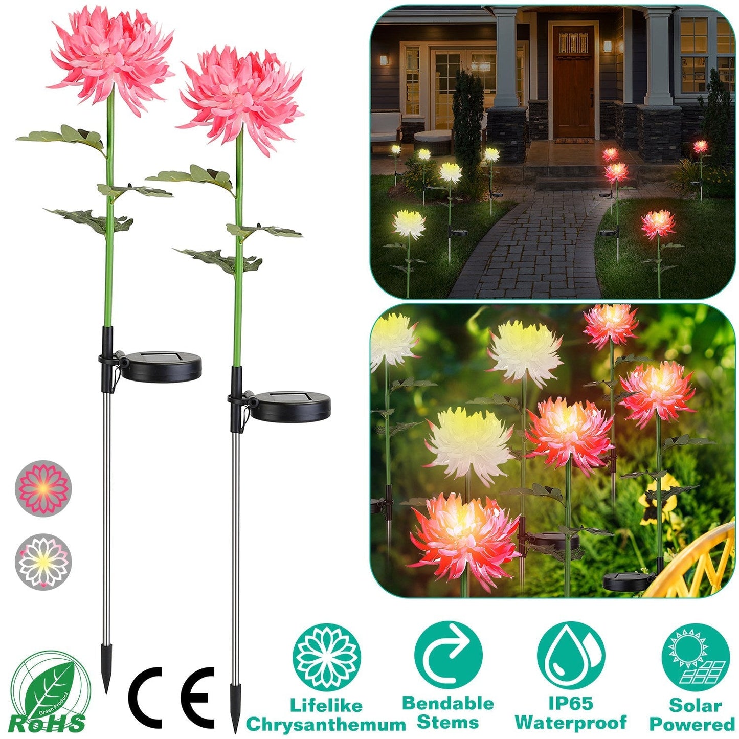 Affectiont 2-Pack: Solar LED Chrysanthemum Lights