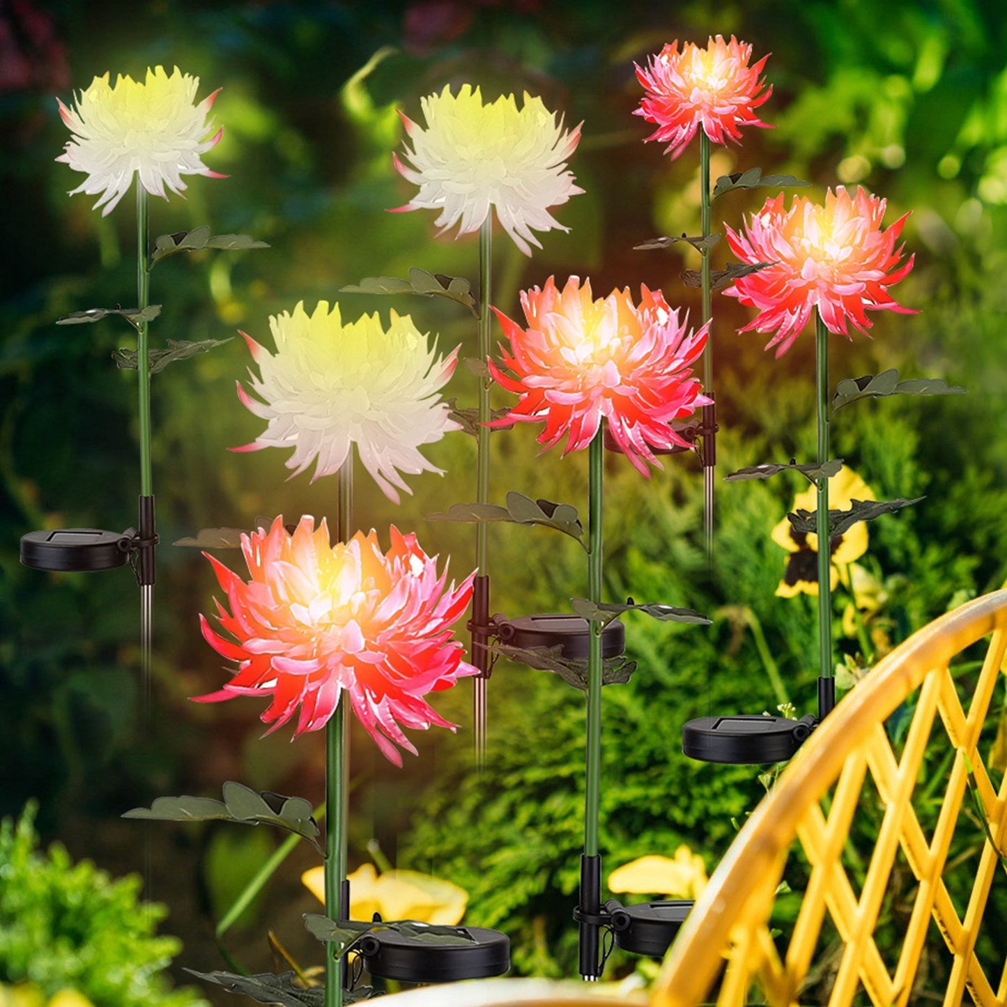 Affectiont 2-Pack: Solar LED Chrysanthemum Lights