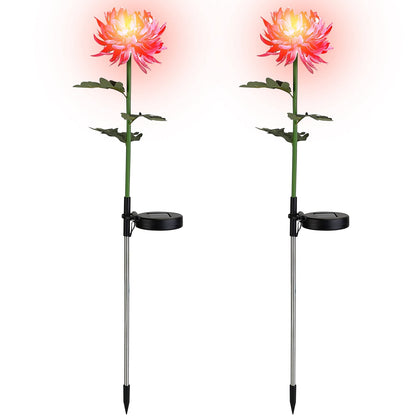 2-Pack: Solar LED Chrysanthemum Lights