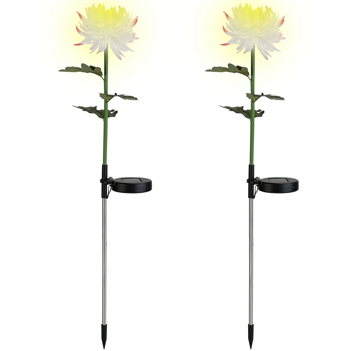 2-Pack: Solar LED Chrysanthemum Lights