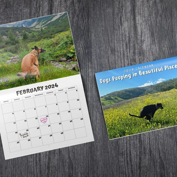 😆Funniest Calendar Of The Century|"Artistic Expression" Of Furry Friends