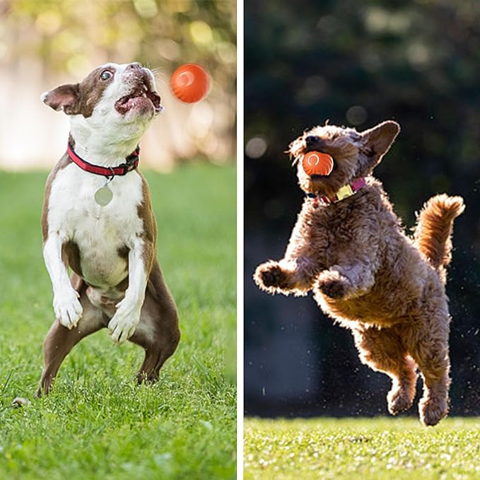 Automatic smart teasing dog ball that can't be bitten