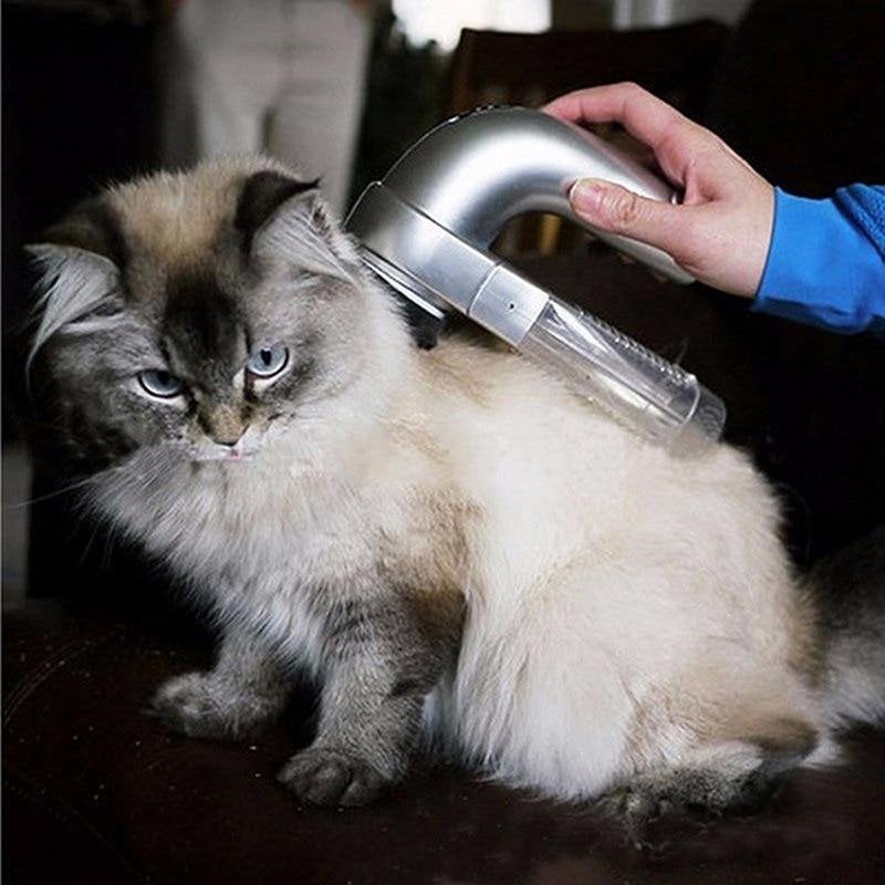 🐱Best handheld vacuum for pet hair🐾