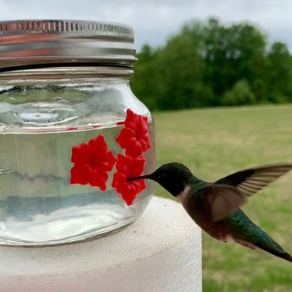 Beautiful Mason Jar Hummingbird Feeder W/Three Ports