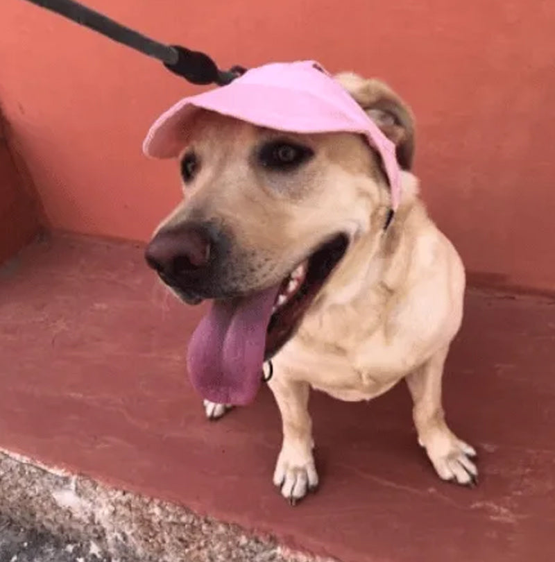 🎁LAST DAY SALE-49% OFF🎁Doggo Hat