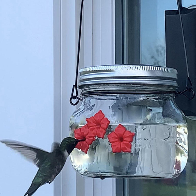 Beautiful Mason Jar Hummingbird Feeder W/Three Ports