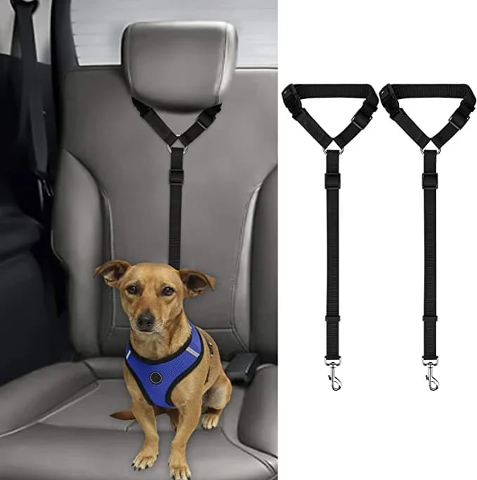 Adjustable Car Dog Leash