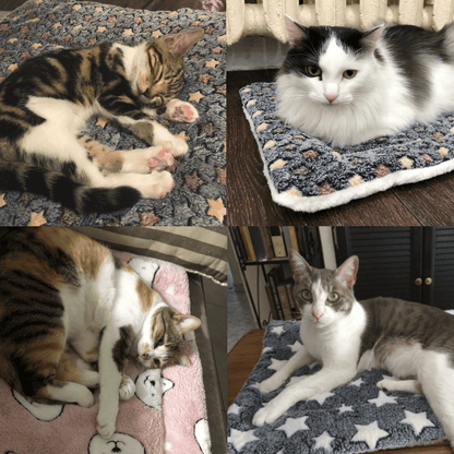 Cosy Calming Cat Blanket