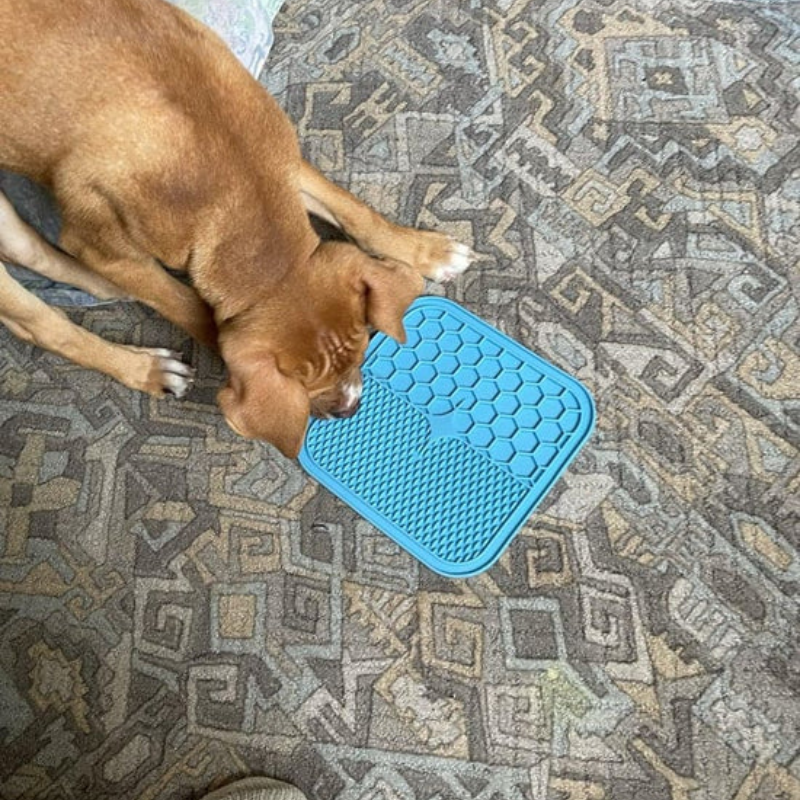 Blendixy Calming Lick Mat