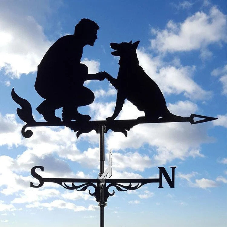 🏠Stainless Steel Weathervane