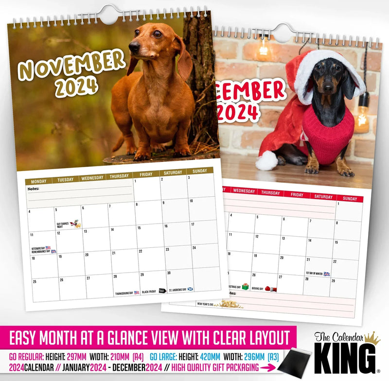 Cheeky Dachshunds - 2024 Wall Calendar