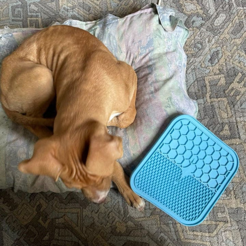 Blendixy Calming Lick Mat