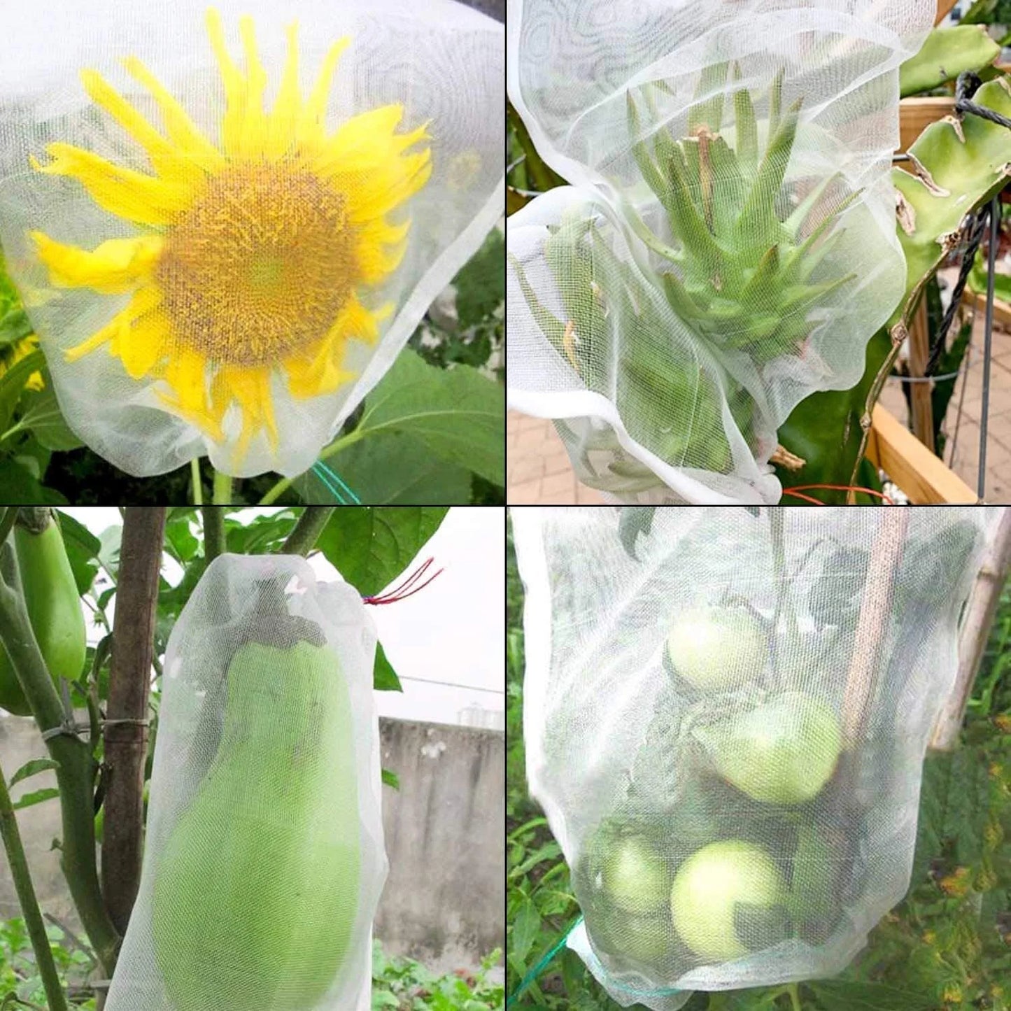 🔥Hot Sale 49% OFF🔥Fruit Vegetable Insect Proof Mesh Bag