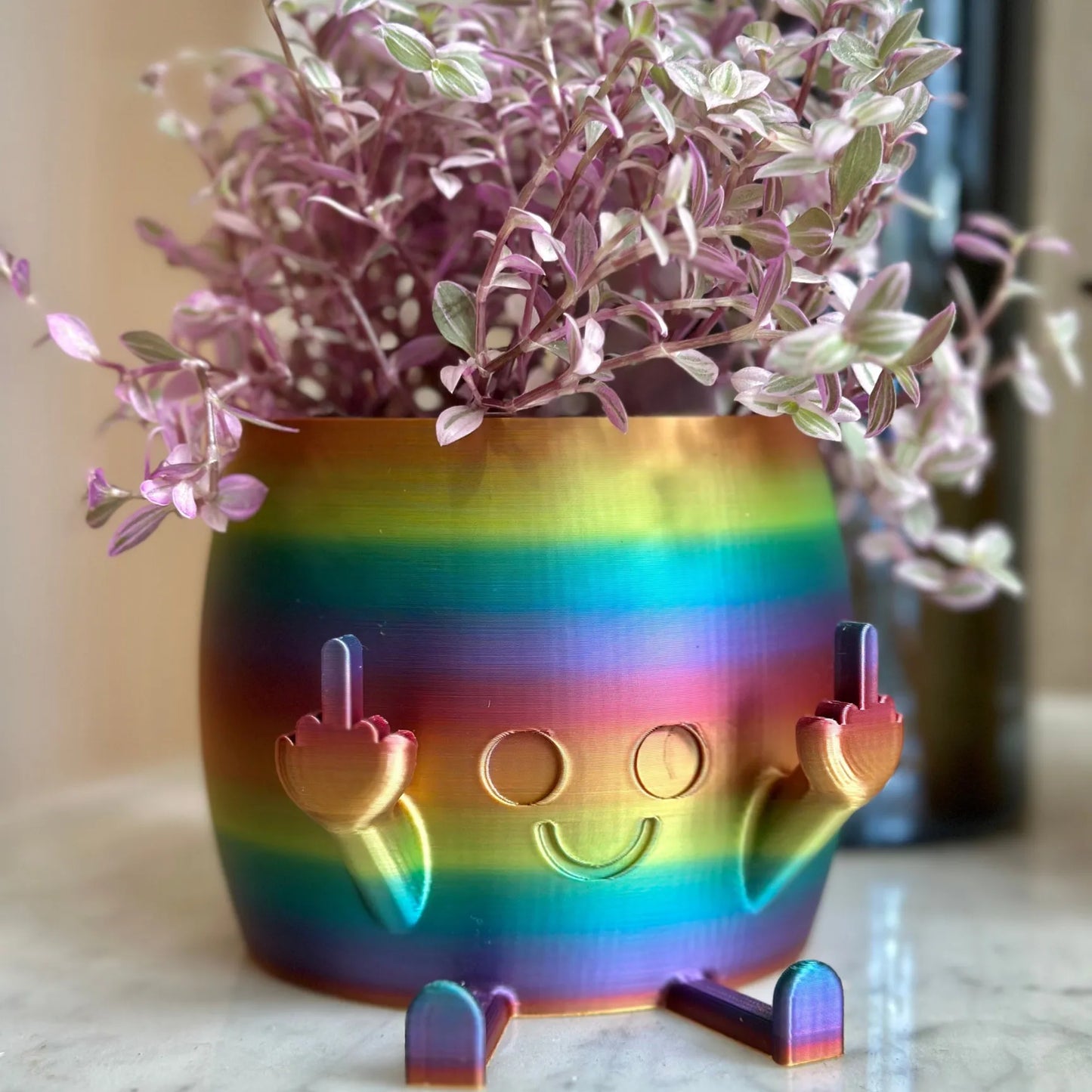 🤣Smiling Plant Pot With Middle Fingers Up