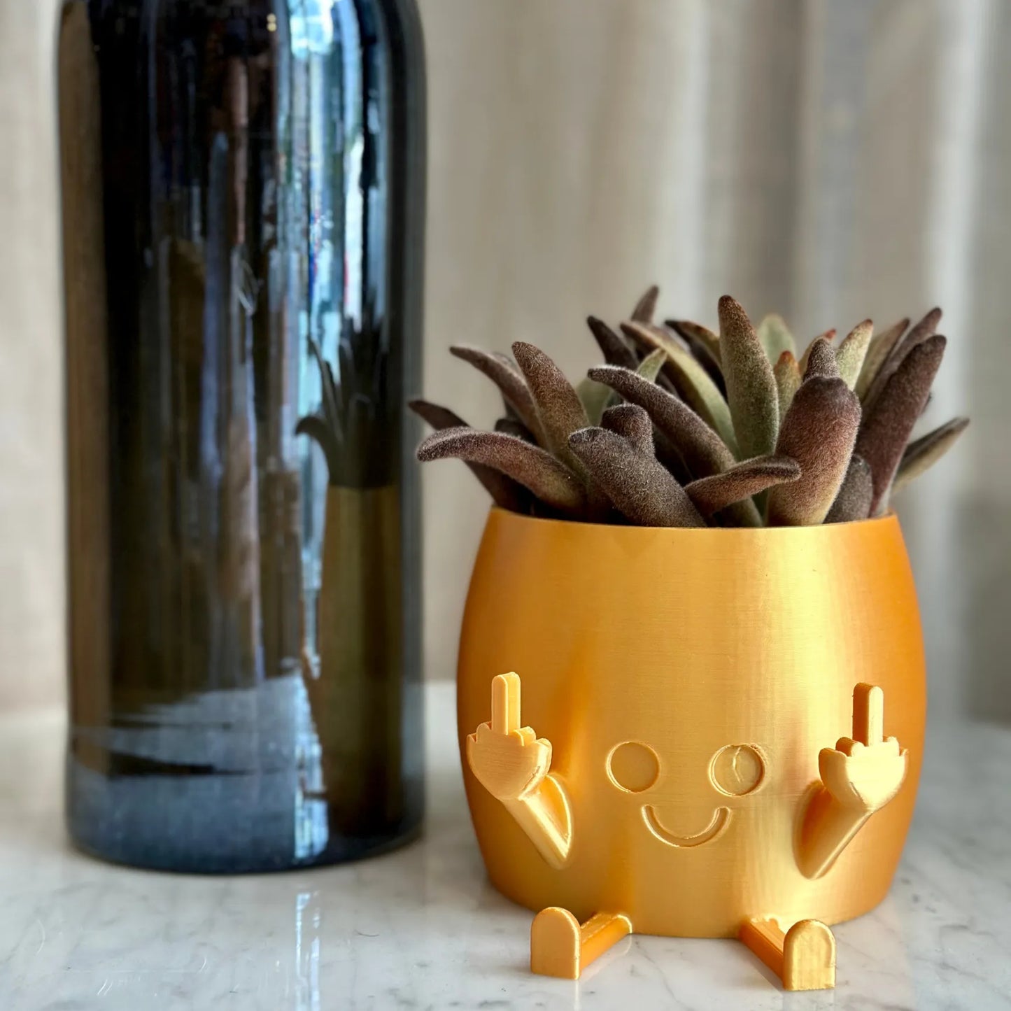 🤣Smiling Plant Pot With Middle Fingers Up