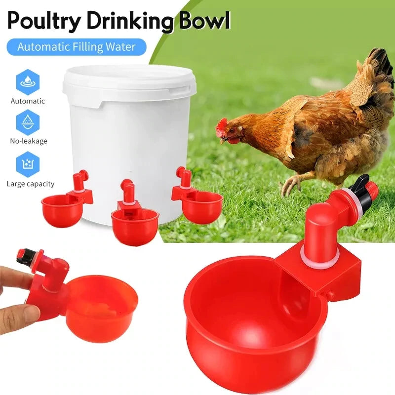 Automatic Chicken Water Cup Bird Coop