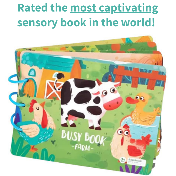 Busy Book – The Best Educational Toy