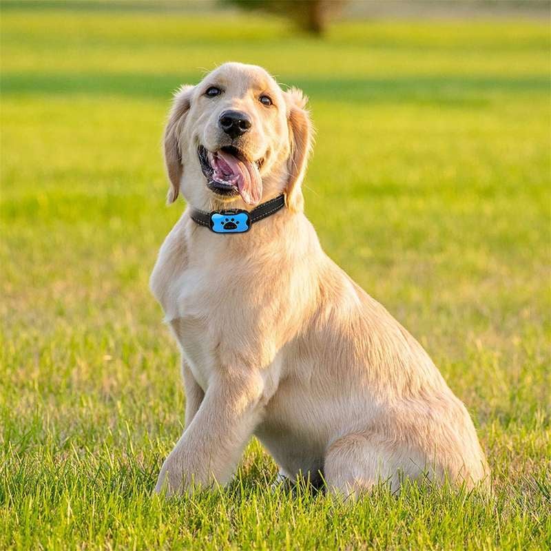 🔥Anti-Bark Collar