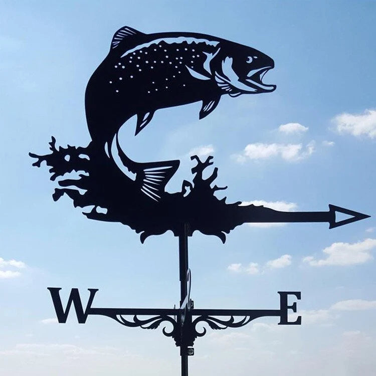 🏠Stainless Steel Weathervane