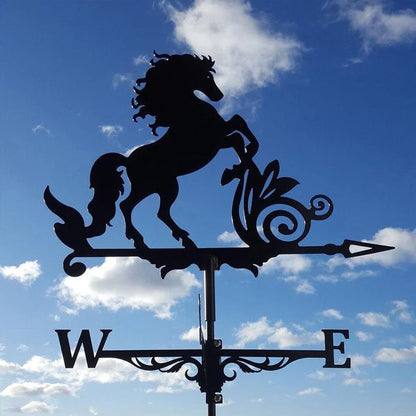 🏠Stainless Steel Weathervane