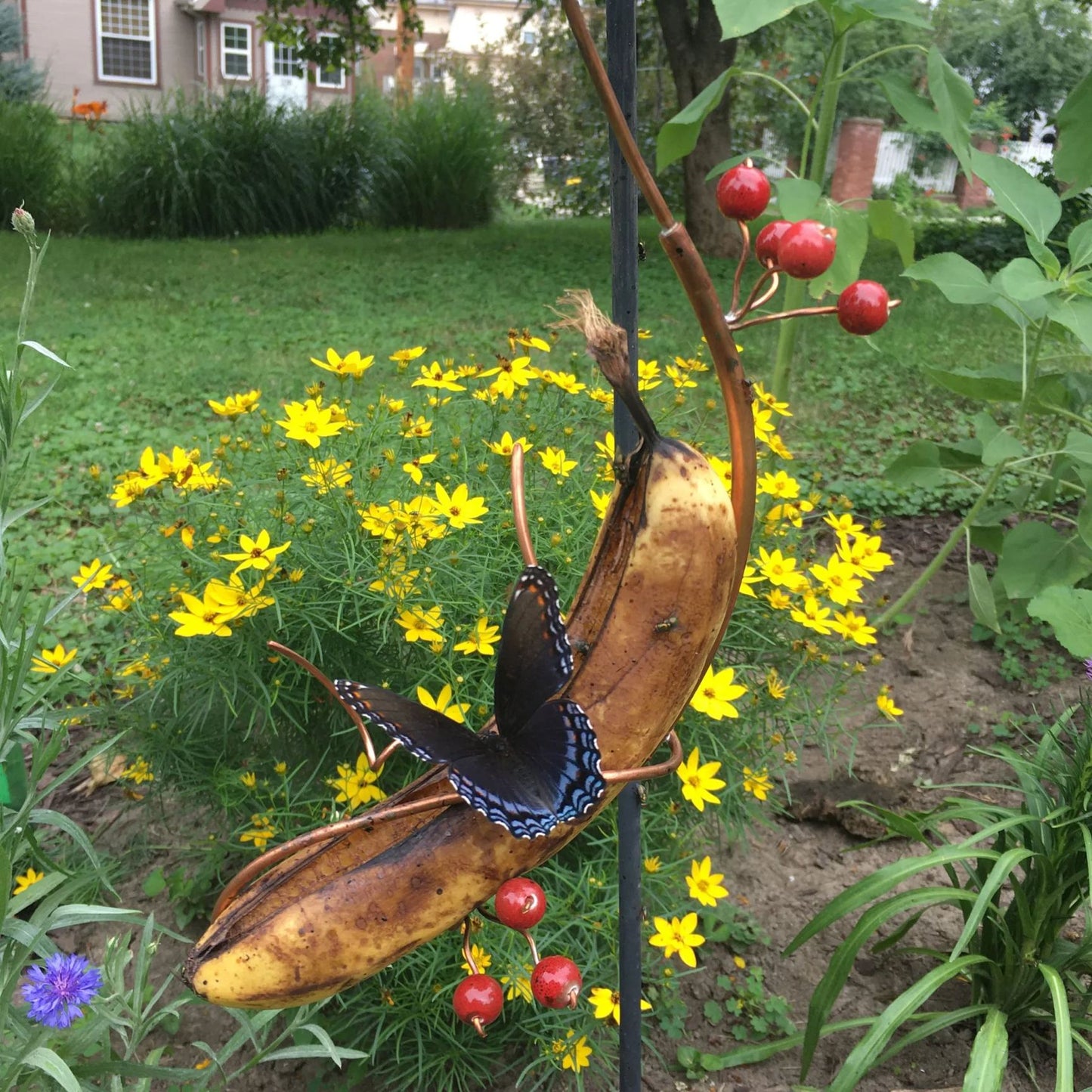 🦋Butterfly Banana Hammock-Butterfly Feeder