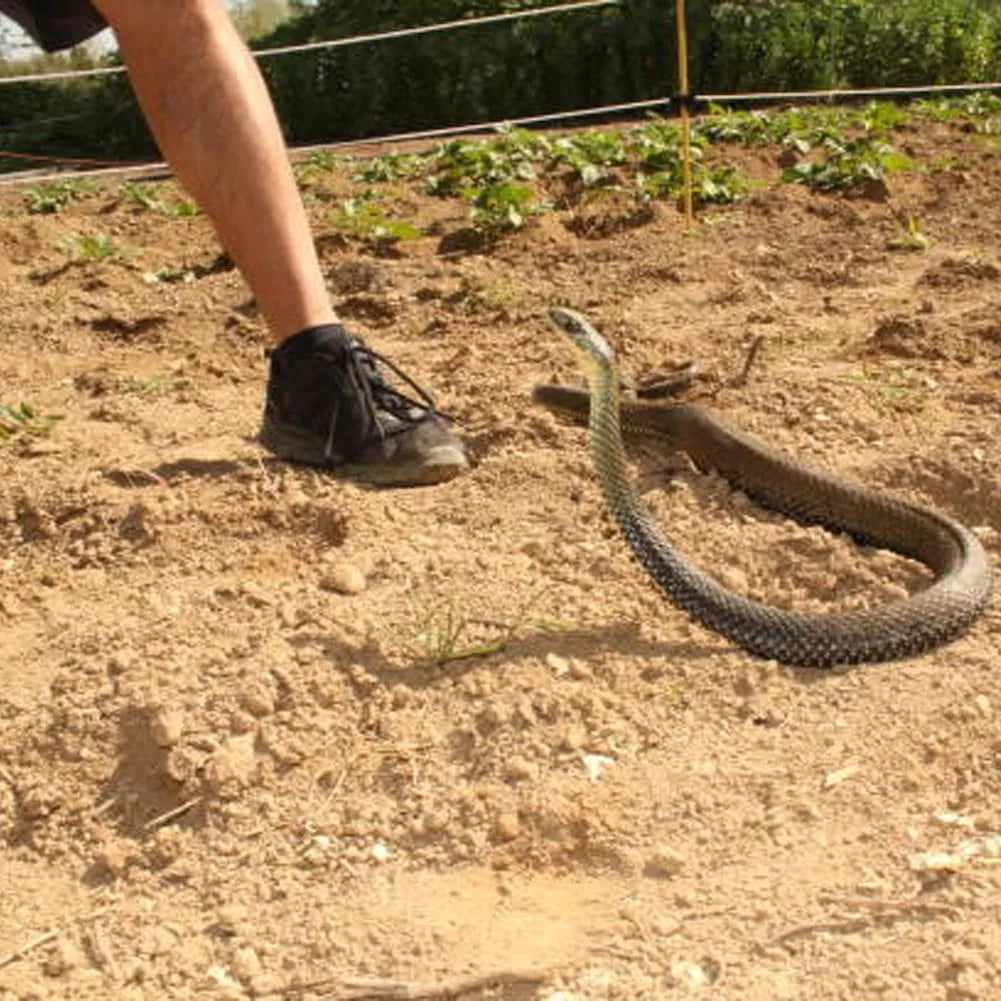 😈Golf Snake Prank with String and Clip🐍