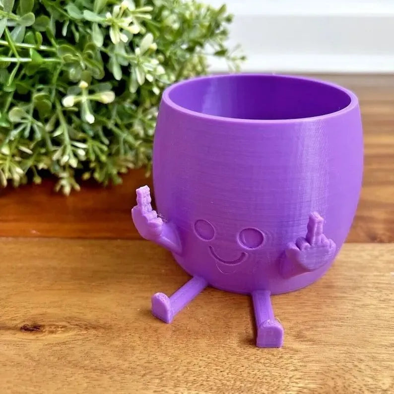 🤣Smiling Plant Pot With Middle Fingers Up