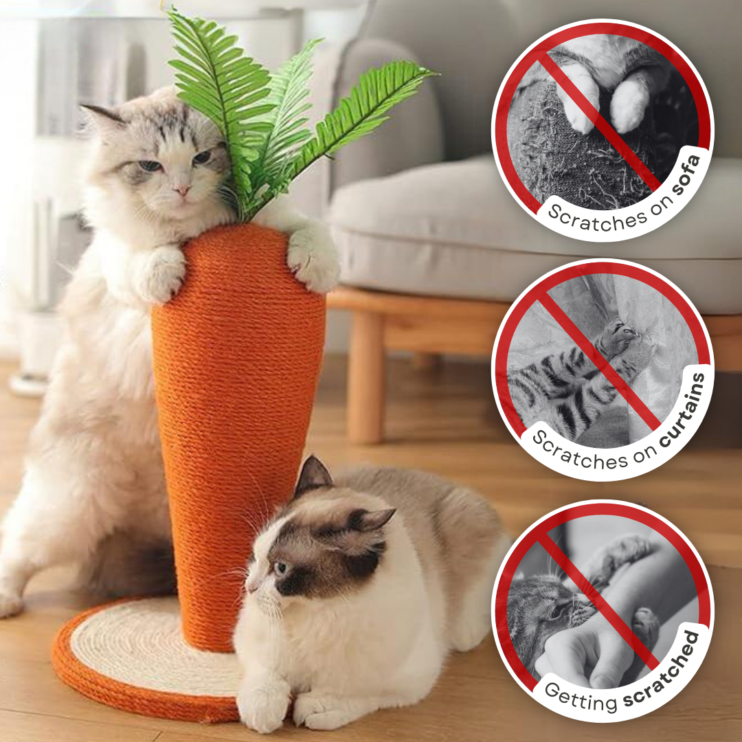 Carrot Cat Scratching Post