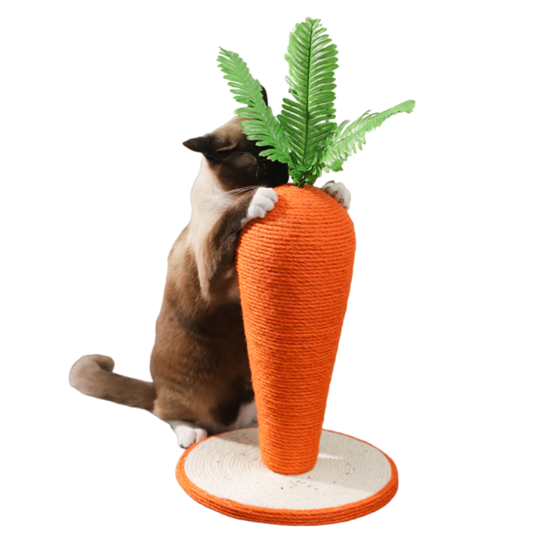 Carrot Cat Scratching Post