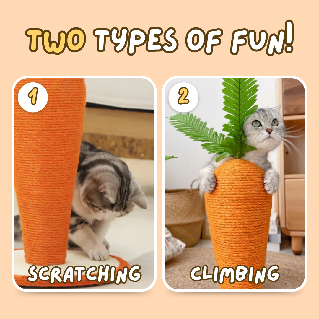 Carrot Cat Scratching Post