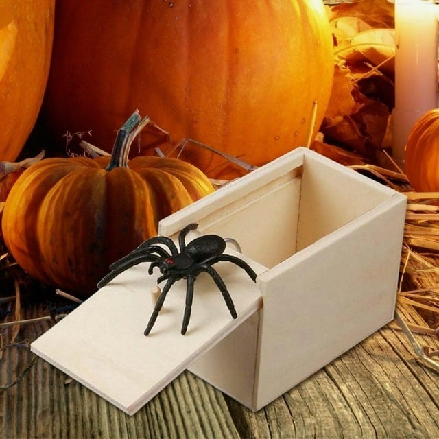 Cepeio Super Funny Crazy Prank Gift Box Spider